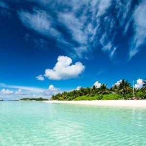 大红花儿向阳开