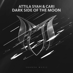 Dark Side Of The Moon (Original Mix)