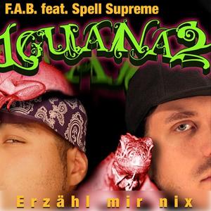 Erzähl mir nix (feat. Spell Supreme)