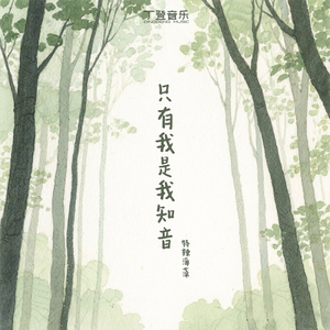 只有我是我知音（特辣海藻版）1.2x