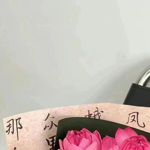 血脉中蕴含着无尽的勇气（prod by Naocluv）