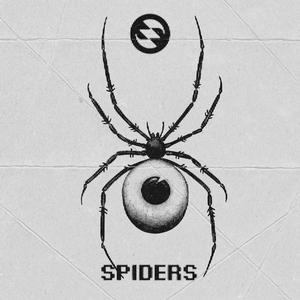 Spiders