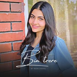 Bin Tere