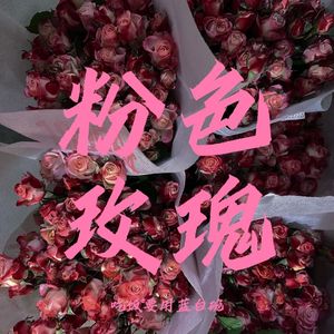 粉色玫瑰（prod. by Jeston）
