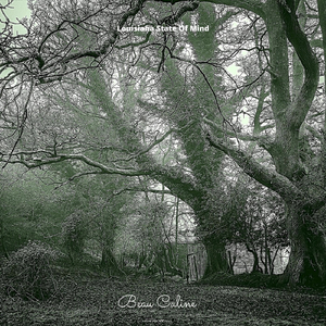 Louisiana State of Mind