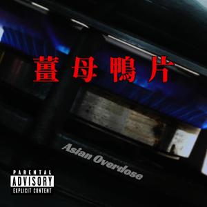 薑母鴨片 Ginger Duck 0pium