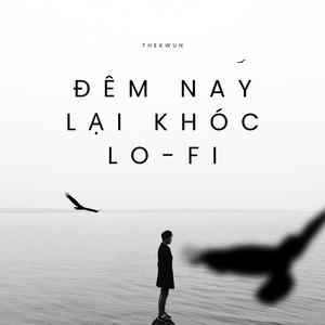 Đêm Nay Lại Khóc Lo-Fi
