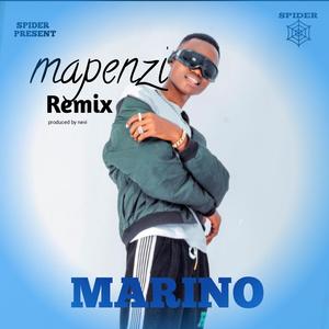 Mapenzi (remix)