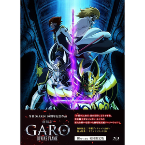 陰我を断ち斬る天の剣-天剣煌身ガロ召還