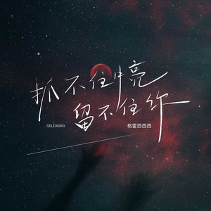 抓不住月亮留不住你