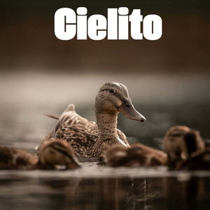 Cielito