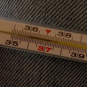 Бессмыслица