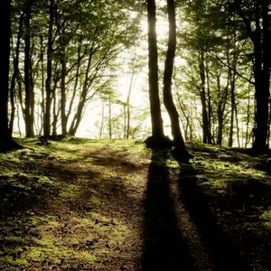 晚风告白失效（钢琴曲）