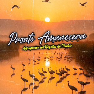Pronto Amanecera