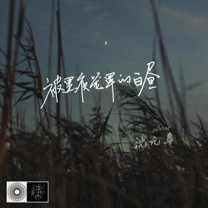 被黑夜笼罩的白昼