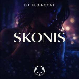 Skonis