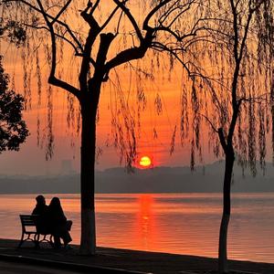 对任何人没有了感觉