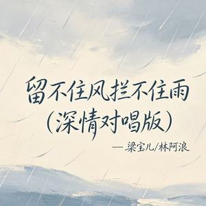 留不住风拦不住雨（深情对唱版）