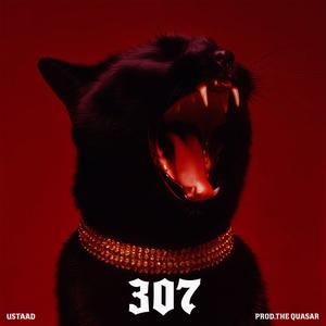 307 (feat. Ustaad)