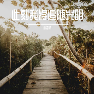 此刻我将追随光明