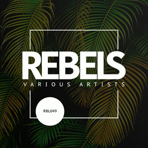 Side Effects (Claudio Polizzotto Remix)