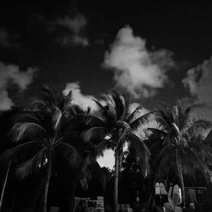 希望下次见你的时候还能对我说出那句话 demo