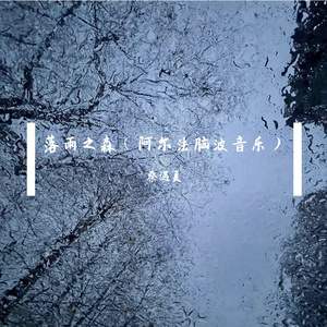 落雨之森（阿尔法脑波音乐）