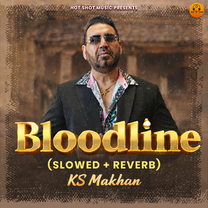 Bloodline (Slowed+Reverb)