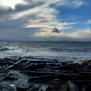 Whidbey (Little Man)