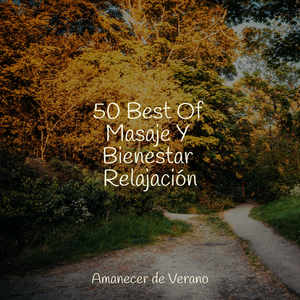 Abrazo de Océano Brumoso