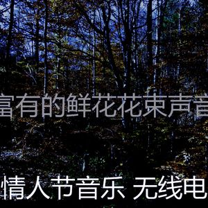 精彩约会之夜环境