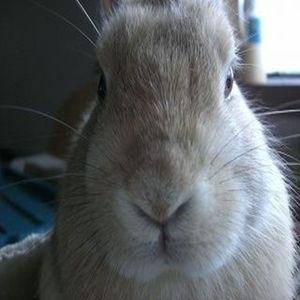 君の涙が落ちるその前に