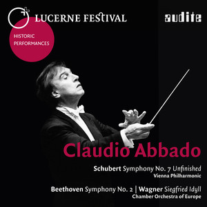 Symphony No. 8 in B Minor, D. 759 "Unfinished": I. Allegro Moderato