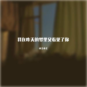 我在昨天的梦里又看见了你