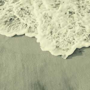 抚慰的海浪回忆