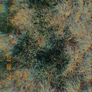 SPRING (feat. Notorious Nick)