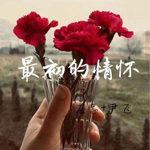 精神格调赴汤蹈火去爱你(DJ版)