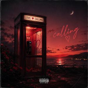 Calling (feat. FantasyPlan)