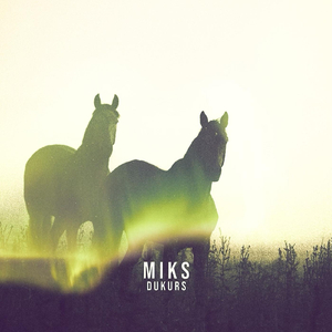 Tumša Nakte, Zaļa Zāle