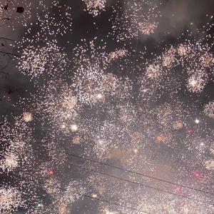 鸟之诗（钢琴+小提琴）