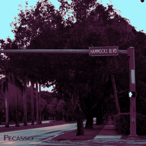 Hammocks