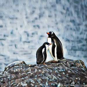 waddle