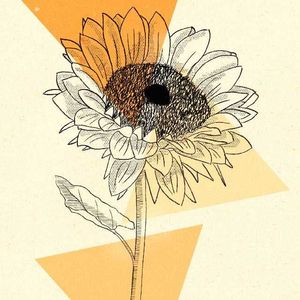 向日葵（pro.Lion-Z狮子）