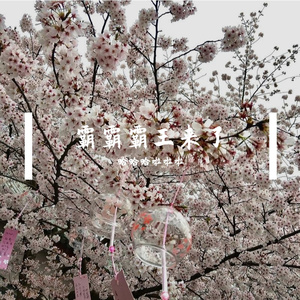 垓下霜111