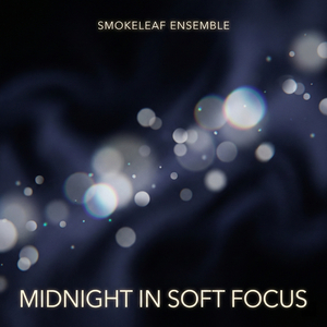 Midnight in Soft Focus