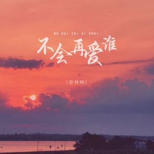 不会再爱谁