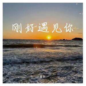 刚好遇见你 【现场合唱版】