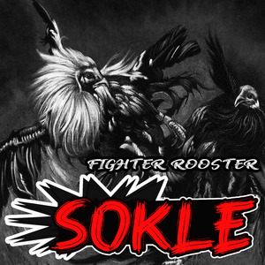 Fighter Rooster
