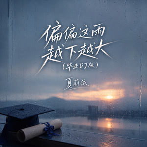 偏偏这雨越下越大(毕业DJ版)