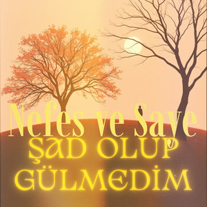 Şad Olup Gülmedim